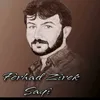 farhad zerak