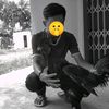 sok.db3333