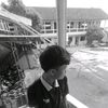 treepd
