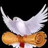 user6601173591572