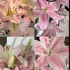 phuongchinhgaii_210