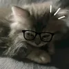 sleepygelly2