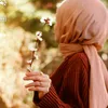 ayda5753