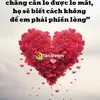 hoang.tran234