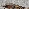 user15413156901