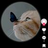 user114981069