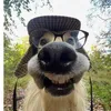 max.sebok