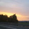 leonie.marie130