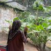 aini.aiai2