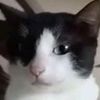mike_jo9