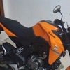 enzo.yz7
