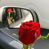 miral_miral20
