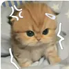 _dzuoye_