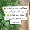 user25151703141625