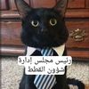 user3237430013099