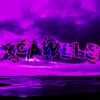 xcawels_2
