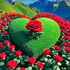 md.aziz5063