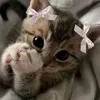 etyyryjd