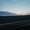 secretlya_dinosou