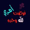 user87945413122216