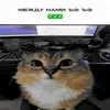 melonti2280