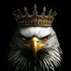 user422201846