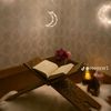 hafsa2187