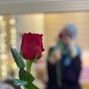 ma.nalamr25