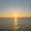 sanaz.sa1
