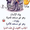 user8330396190813