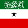 ayaanle478