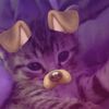 kiwikyx