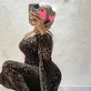 hanan.assodor
