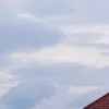 chill_kaczka