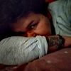 stanycordova88