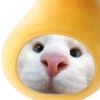 azkianur__soutachi