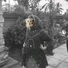 ndatw11
