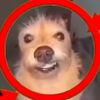 unfathomable_muffin