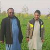 toqeerhussain253