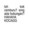 catlovers56_