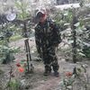 arlavlimbu