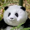 Panda Laranja
