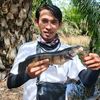 botol_engler