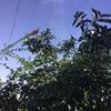 _mahamed_28