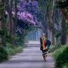 tuehuuphap