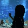 bubble_.aull