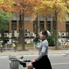 mai.ngo910