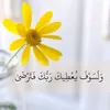 user763825095254313