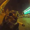 sonka_116