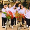 t.tokvietnamlalditdanba